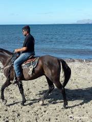 Sicily Horse Tours