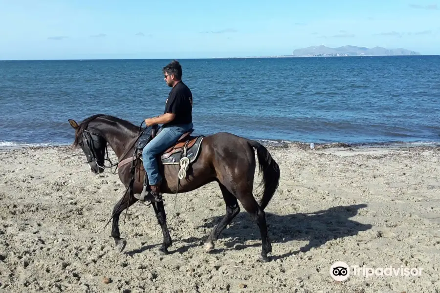 Sicily Horse Tours