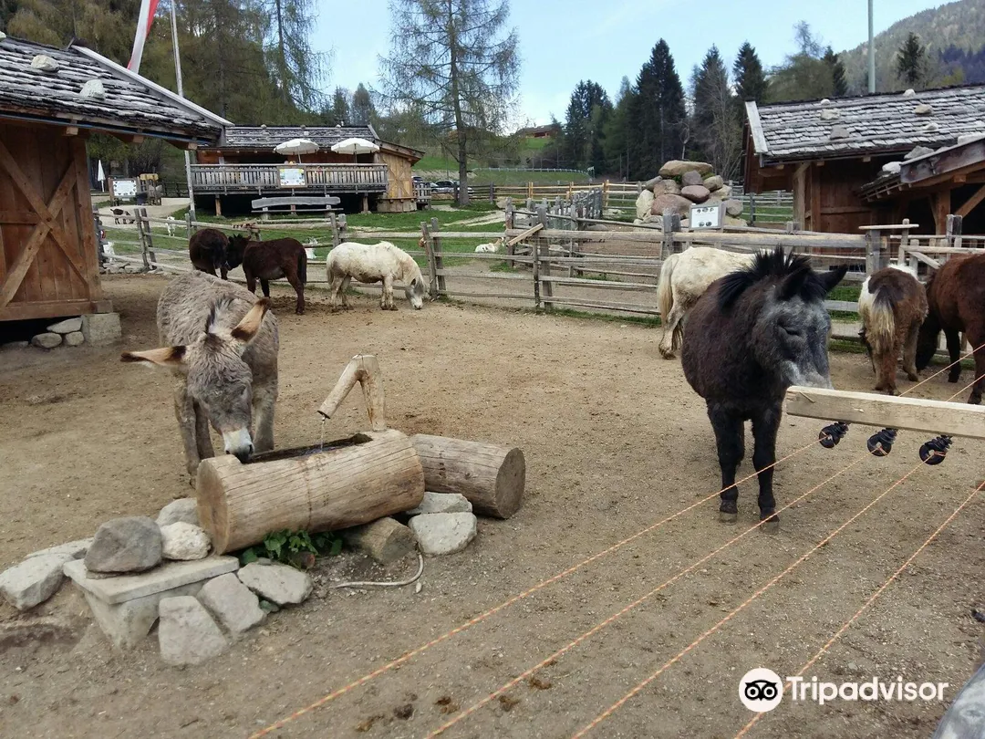 3_Fattoria Rainguthof