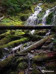 Proxy Falls