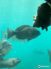 Genkai Undersea Observatory Tower