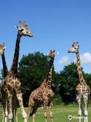 parco zoologico di Lisieux