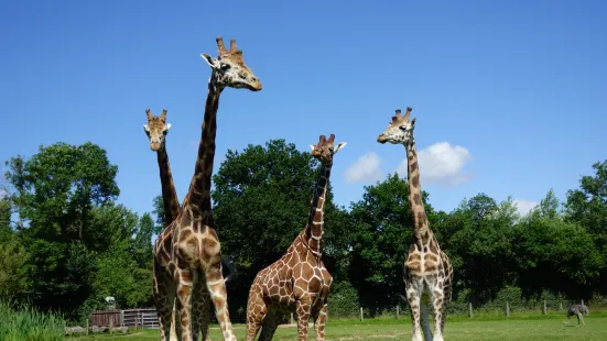 Parc Zoologique Cerza