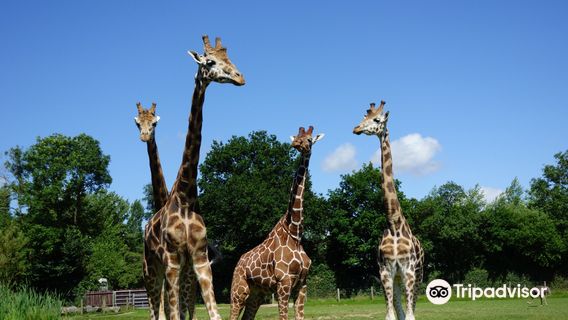 Cerza Zoological Park