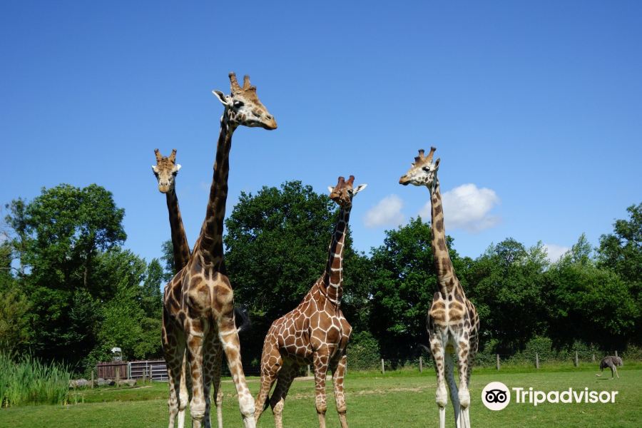 Cerza Zoological Park