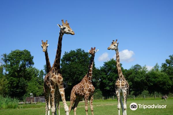 Cerza Zoological Park