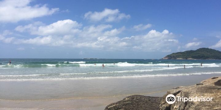 Pernambuco Beach
