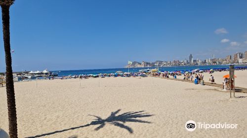 Platges de Benidorm