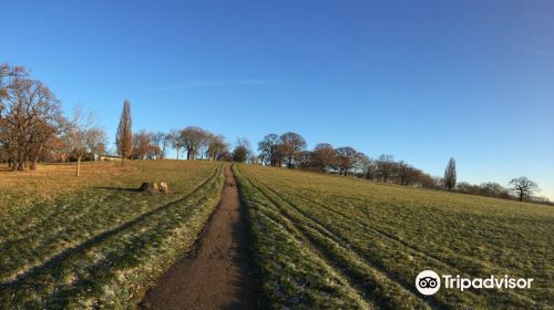 Gladstone Park