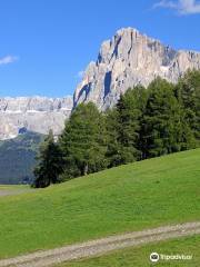 Alpe di Siusi | Mont Sëuc