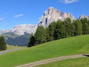 Alpe di Siusi | Mont Sëuc
