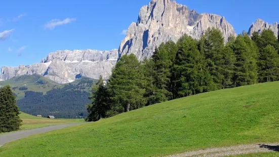 Alpe di Siusi | Mont Sëuc