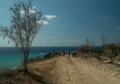 Aphrodite's Beach