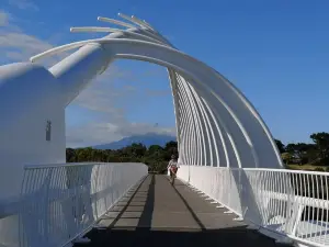 Te Rewa Rewa Bridge