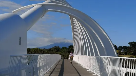 Te Rewa Rewa Bridge