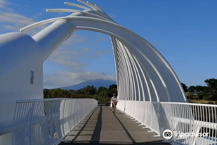 Te Rewa Rewa Bridge