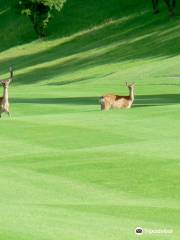 Amagi Kogen Golf Course