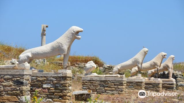 Terrace of the lions