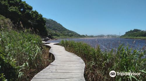 Wilderness Lagoon