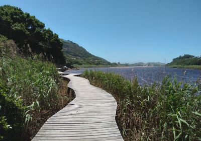 Wilderness Lagoon