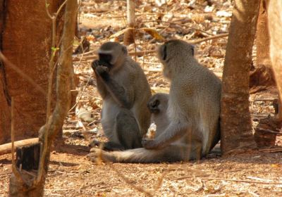 Lilongwe Nature Sanctuary