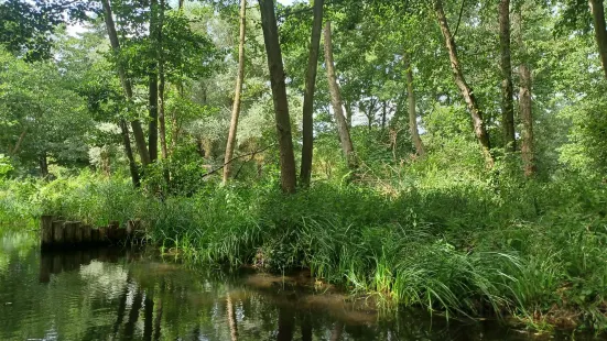 Kahnfahrten Lubben