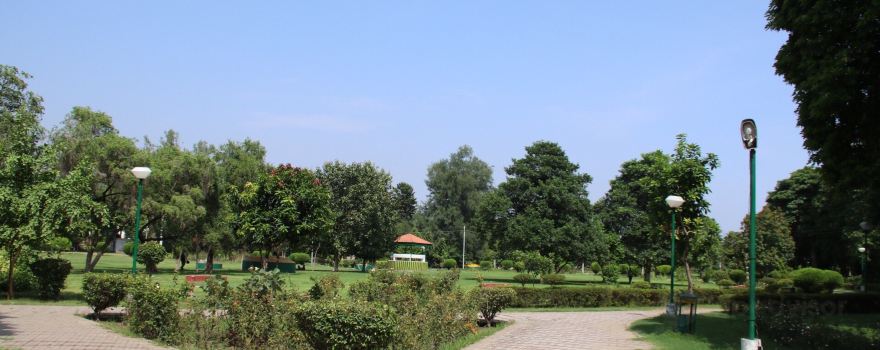 Nehru Rose Garden