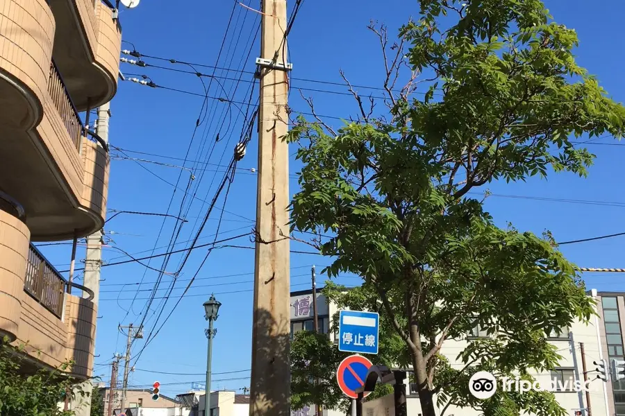 Oldest Telegraph Pole