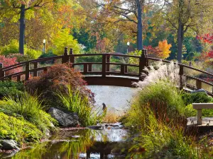 Wellfield Botanic Gardens