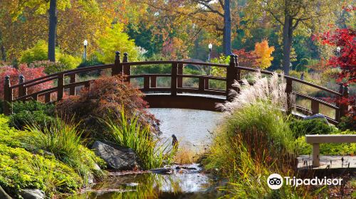 Wellfield Botanic Gardens