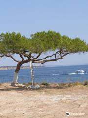 Agios Stefanos Beach