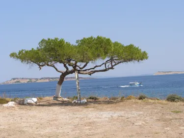 Agios Stefanos Beach