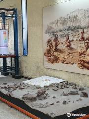Museo Archeologico e Paleobotanico di Perfugas