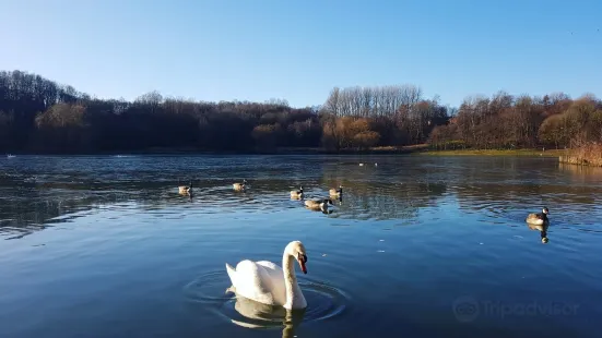 Moses Gate, Country Park Farnworth