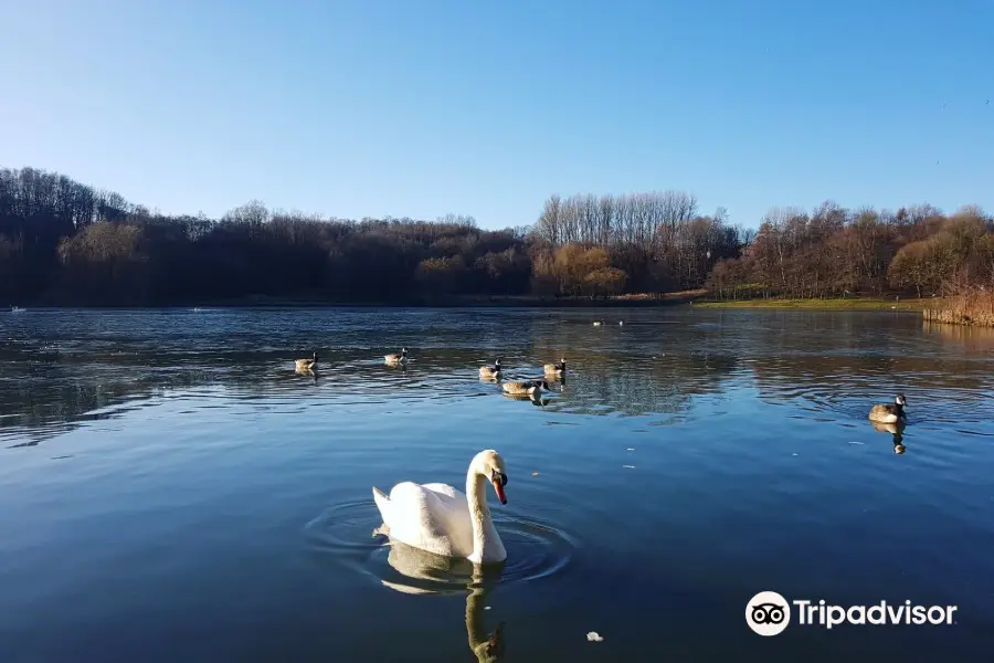 Moses Gate Country Park