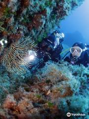 Discovery Diving Sardegna