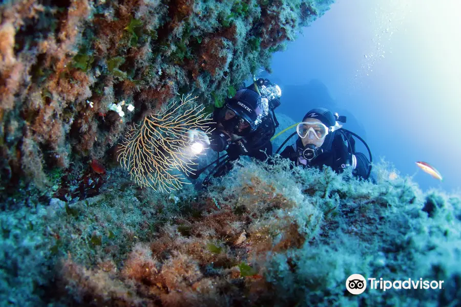 Discovery Diving Sardegna