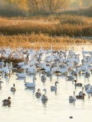 Gray Lodge Wildlife Area