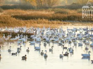 Gray Lodge Wildlife Area