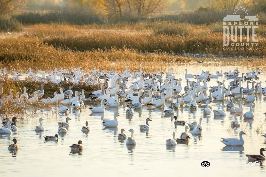 Gray Lodge Wildlife Area