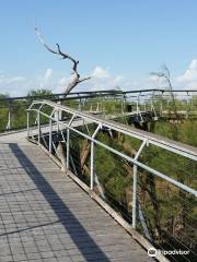 Bentsen-Rio Grande Valley State Park