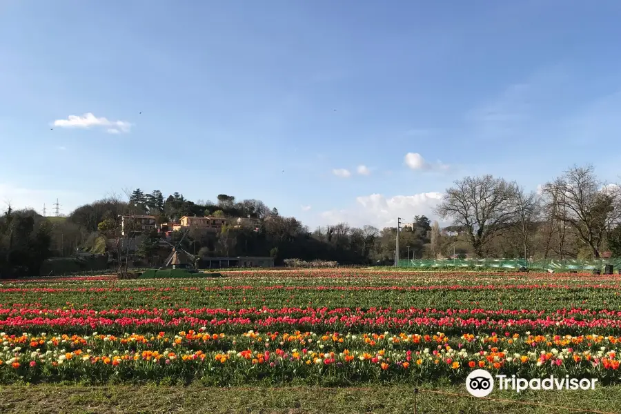 TuliPark - Roma