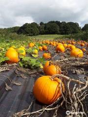 Stanleys Farm Shop