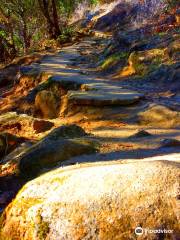 Feather Falls Scenic Trail