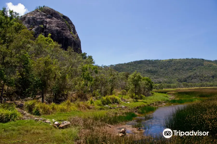 Many Peaks Walking Track