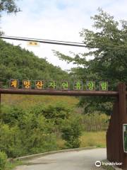 Gyemyungsan Nature Recreation Forest