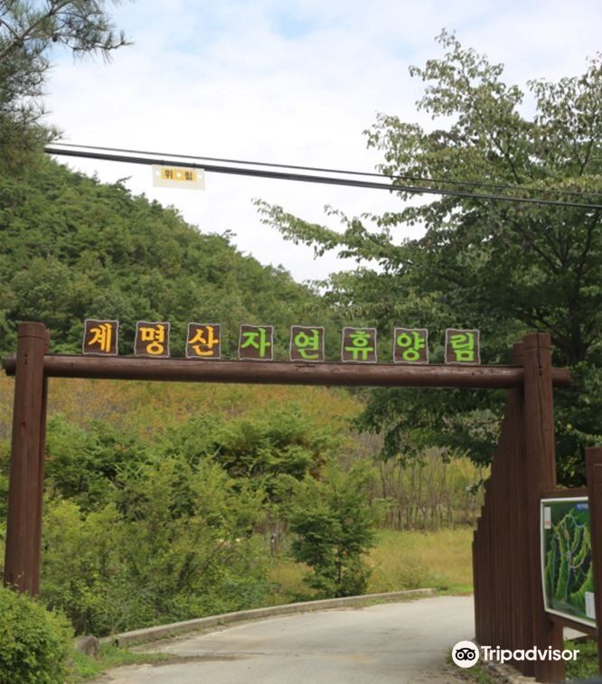 Gyemyungsan Nature Recreation Forest