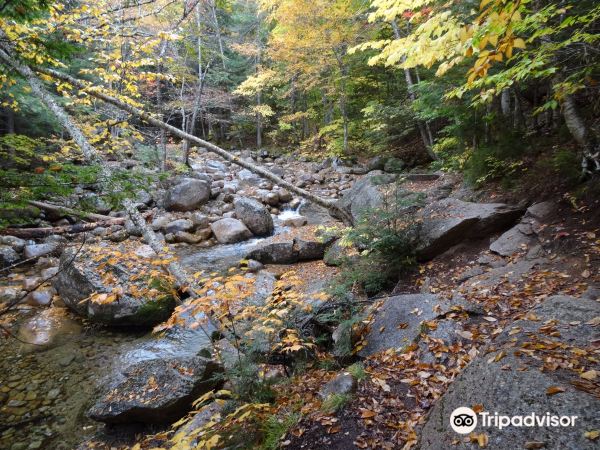 Sabbaday Falls