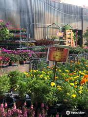 Butterfly Pavilion at Flamingo Road Nursery