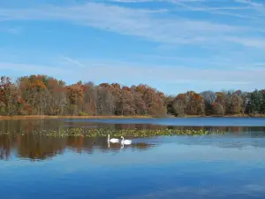 Kellogg Bird Sanctuary